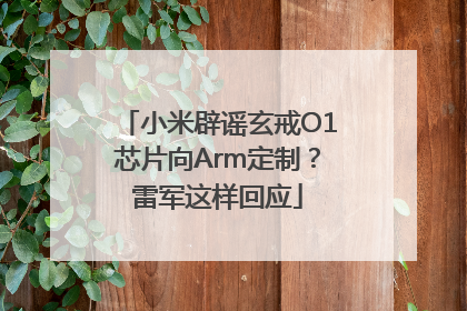 小米辟谣玄戒O1芯片向Arm定制？雷军这样回应