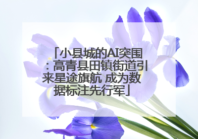 小县城的AI突围：高青县田镇街道引来星途旗航 成为数据标注先行军