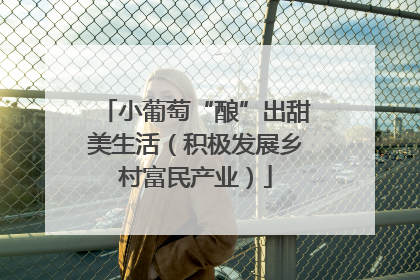小葡萄“酿”出甜美生活（积极发展乡村富民产业）