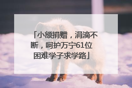 小额捐赠，涓滴不断，呵护万宁61位困难学子求学路