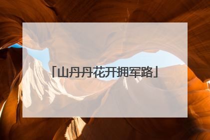 山丹丹花开拥军路