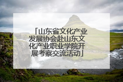 山东省文化产业发展协会赴山东文化产业职业学院开展考察交流活动
