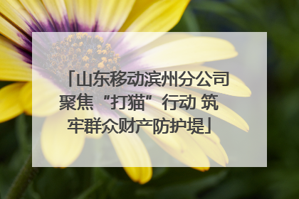 山东移动滨州分公司聚焦“打猫”行动 筑牢群众财产防护堤