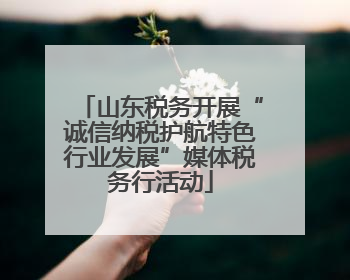 山东税务开展“诚信纳税护航特色行业发展”媒体税务行活动