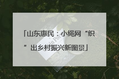 山东惠民：小绳网“织”出乡村振兴新图景