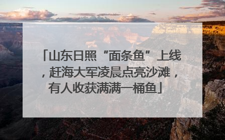 山东日照“面条鱼”上线，赶海大军凌晨点亮沙滩，有人收获满满一桶鱼