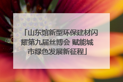 山东馆新型环保建材闪耀第九届丝博会 赋能城市绿色发展新征程