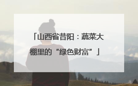 山西省昔阳：蔬菜大棚里的“绿色财富”