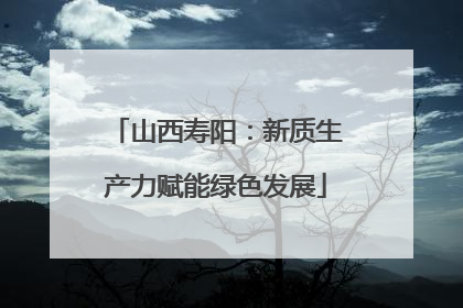 山西寿阳：新质生产力赋能绿色发展