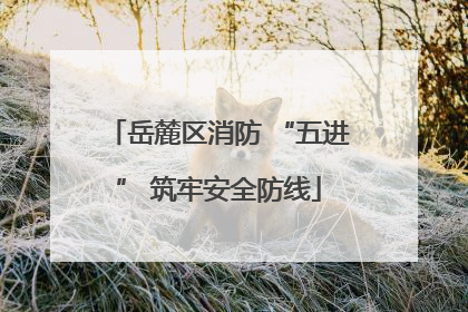 岳麓区消防 “五进” 筑牢安全防线