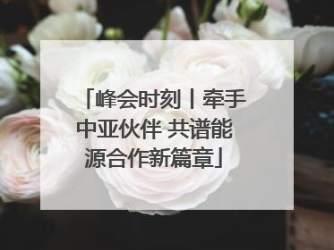 峰会时刻丨牵手中亚伙伴 共谱能源合作新篇章