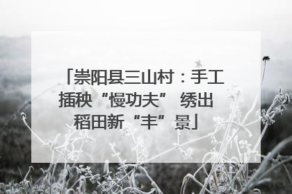 崇阳县三山村：手工插秧“慢功夫” 绣出稻田新“丰”景