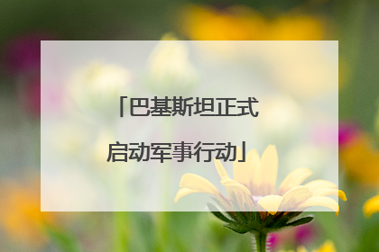 巴基斯坦正式启动军事行动