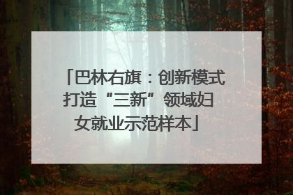 巴林右旗：创新模式 打造“三新”领域妇女就业示范样本