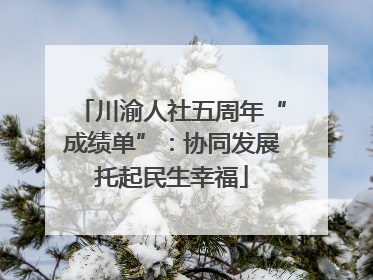 川渝人社五周年“成绩单”：协同发展托起民生幸福