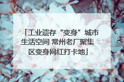 工业遗存“变身”城市生活空间 常州老厂聚集区变身网红打卡地