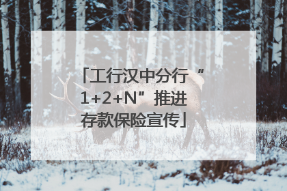 工行汉中分行“1+2+N”推进存款保险宣传