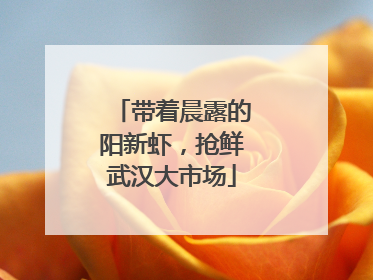 带着晨露的阳新虾，抢鲜武汉大市场