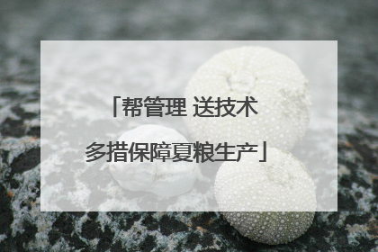 帮管理 送技术 多措保障夏粮生产