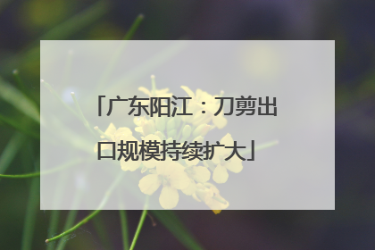 广东阳江：刀剪出口规模持续扩大