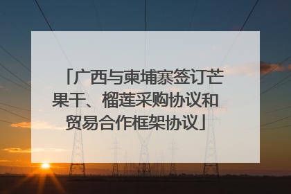 广西与柬埔寨签订芒果干、榴莲采购协议和贸易合作框架协议