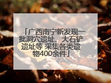 广西南宁新发现一批洞穴遗址、大石铲遗址等 采集各类遗物400余件