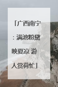 广西南宁：满池粉黛映夏凉 游人赏荷忙