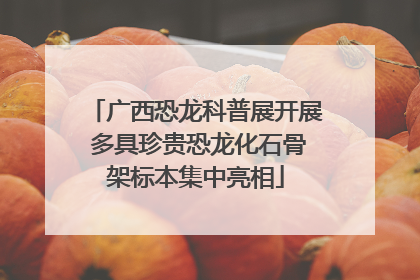 广西恐龙科普展开展 多具珍贵恐龙化石骨架标本集中亮相