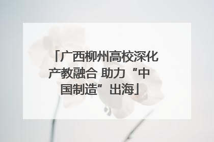 广西柳州高校深化产教融合 助力“中国制造”出海