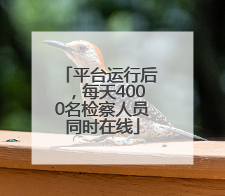 平台运行后，每天4000名检察人员同时在线