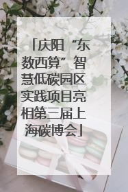 庆阳“东数西算”智慧低碳园区实践项目亮相第三届上海碳博会