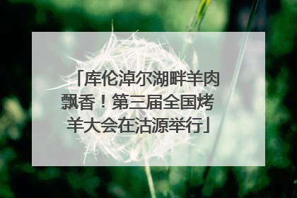 库伦淖尔湖畔羊肉飘香！第三届全国烤羊大会在沽源举行