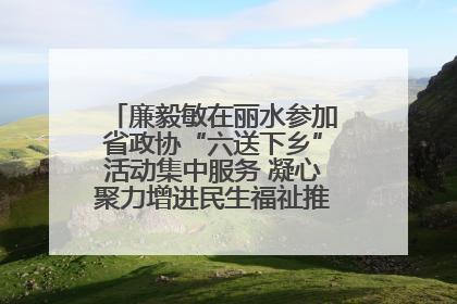 廉毅敏在丽水参加省政协“六送下乡”活动集中服务 凝心聚力增进民生福祉推进共同富裕