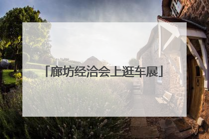 廊坊经洽会上逛车展