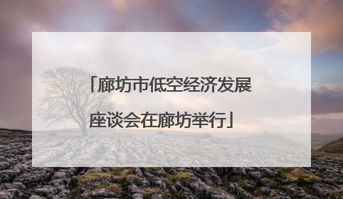 廊坊市低空经济发展座谈会在廊坊举行