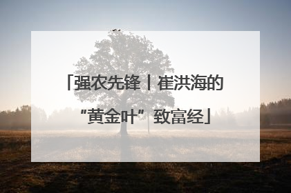 强农先锋丨崔洪海的“黄金叶”致富经