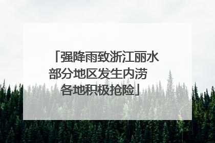 强降雨致浙江丽水部分地区发生内涝 各地积极抢险