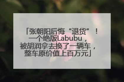 张朝阳后悔“退货”！一个绝版Labubu，被胡润拿去换了一辆车，整车原价值上百万元