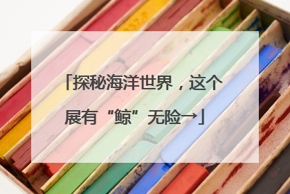 探秘海洋世界，这个展有“鲸”无险→
