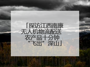 探访江西南康无人机物流配送 农产品十分钟“飞出”深山