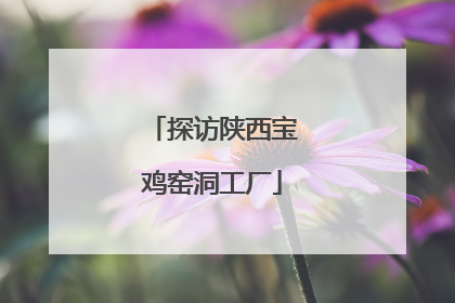 探访陕西宝鸡窑洞工厂