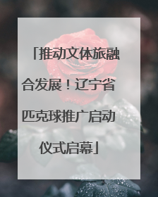 推动文体旅融合发展！辽宁省匹克球推广启动仪式启幕