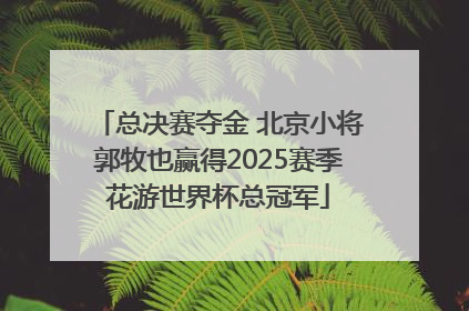 总决赛夺金 北京小将郭牧也赢得2025赛季花游世界杯总冠军
