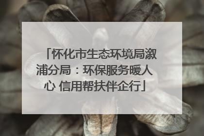 怀化市生态环境局溆浦分局：环保服务暖人心 信用帮扶伴企行