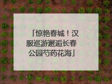 惊艳春城！汉服巡游邂逅长春公园芍药花海