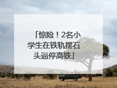 惊险！2名小学生在铁轨摆石头逼停高铁