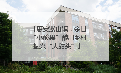 惠安紫山镇：余甘“小酸果”酿出乡村振兴“大甜头”
