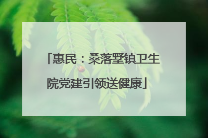惠民：桑落墅镇卫生院党建引领送健康