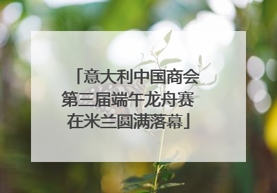 意大利中国商会第三届端午龙舟赛在米兰圆满落幕