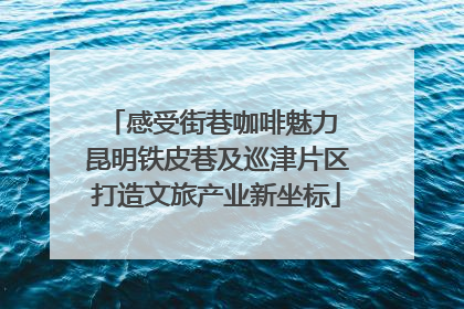 感受街巷咖啡魅力 昆明铁皮巷及巡津片区打造文旅产业新坐标